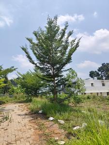 Image of 1742 Sq.ft Residential Plot / Land for sale in Kizhakkambalam, Kochi for Rs. 2000000