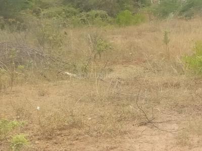 Image of 2245 Sq.ft Residential Plot / Land for sale in Pillayarpatti, Thanjavur for Rs. 1100000