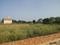 Karoli Bangar Plot View 2