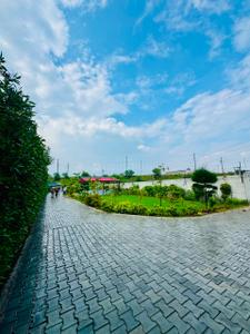 Image of 976 Sq.ft 3 BHK Farm House for sale in Sector 26, Rewari for Rs. 30000000