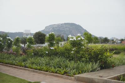 Image of 1200 Sq.ft Residential Plot / Land for sale in Nandi Hills, Chikballapur District for Rs. 5640000