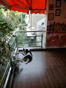 Balcony Image of 1800 Sq.ft 3.5 BHK Duplex for sale in DDA Sector C Pocket 9, Vasant Kunj New Delhi for Rs. 42500000