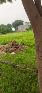 Image of 1250 Sq.ft Residential Plot / Land for sale in Attalika Retreat, Purseni, Lucknow for Rs. 8150000