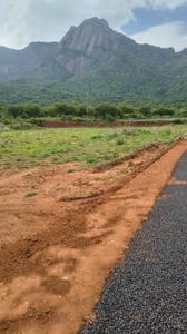 Image of 9148 Sq.ft Residential Plot / Land for sale in Pannimadai, Coimbatore for Rs. 9200000