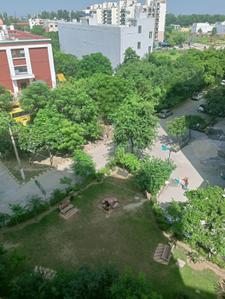Image of 1165 Sq.ft 2 BHK Apartment / Flat for sale in Omaxe North Avenue II, Omaxe City, Bahadurgarh for Rs. 3500000