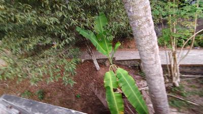 Image of 10454 Sq.ft 3 BHK Independent House for sale in Maruthoor, Thiruvananthapuram for Rs. 14500000