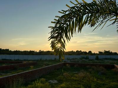 Katibagiya Plot View 2