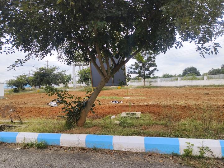 Srushti S Main Image 1