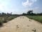 YEIDA RPS 02 Internal Roads 1