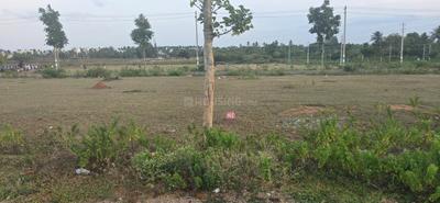 H V RAJIVA TOWNSHIP DANAGALLI Plot View 3