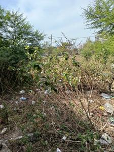 Image of 1452 Sq.ft Residential Plot / Land for sale in BDA Affordable Housing Scheme Salaiya, Bawadiya Kalan, Bhopal for Rs. 11000000