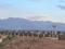 DLF The Valley Main Image 1