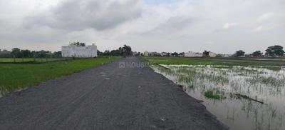Image of 1200 Sq.ft Residential Plot / Land for sale in Boria Kal, Raipur for Rs. 1320000