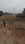 Hesal Plot View 2