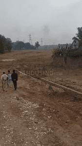Hesal Plot View 2