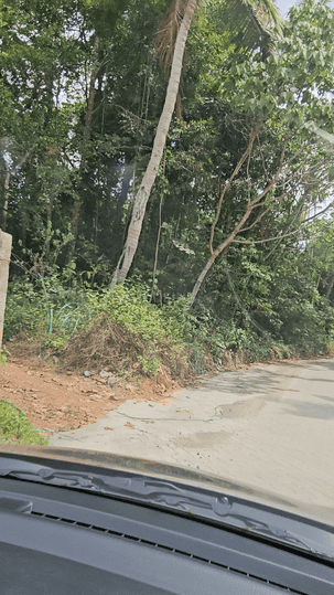 Kakkanad Main Image 1