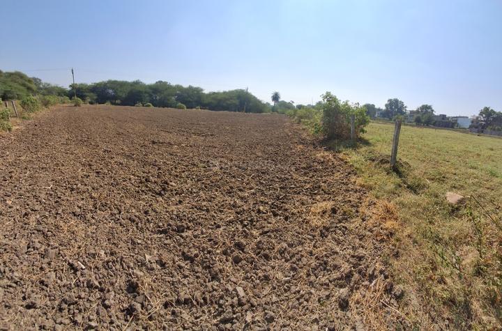 Palakhedi Main Image 1