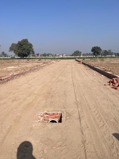 Chamrauli Main Image 1