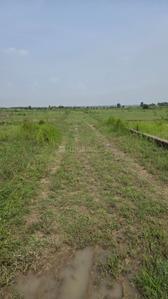 Image of 2860 Sq.ft Residential Plot / Land for sale in Andal, Durgapur for Rs. 600000