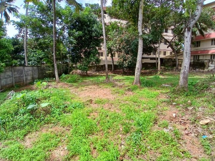 Vattiyoorkavu Main Image 1