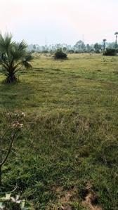 Image of 1742 Sq.ft Residential Plot / Land for sale in Similipada, Angul for Rs. 2200000