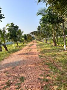 Image of 111 Sq.ft Residential Plot / Land for sale in Kothavalasa, Visakhapatnam for Rs. 666000
