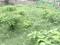 Madurdaha Main Image 1