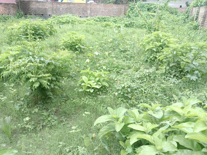 Madurdaha Main Image 1