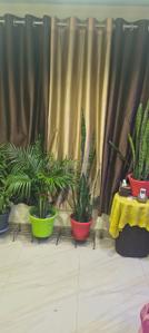 Bedroom Image of 1400 Sq.ft 3 BHK Apartment / Flat for sale in Kharia Jalpaiguri for Rs. 9000000