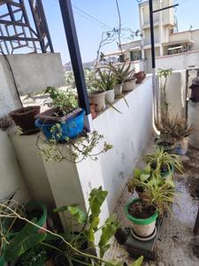 Balcony Image of 819 Sq.ft 2 BHK Apartment / Flat for sale in Chandkheda Ahmedabad for Rs. 6000000