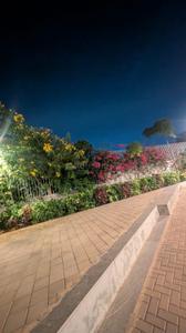 Image of 1100 Sq.ft 2 BHK Apartment / Flat for rent in Casagrand Boulevard, Chikkagubbi Village, Bengaluru for Rs. 38000