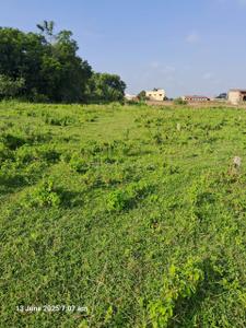 Image of 3000 Sq.ft Residential Plot / Land for sale in Gamharia, Jamshedpur for Rs. 2600000