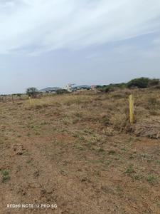 Mudichur Plot View 2