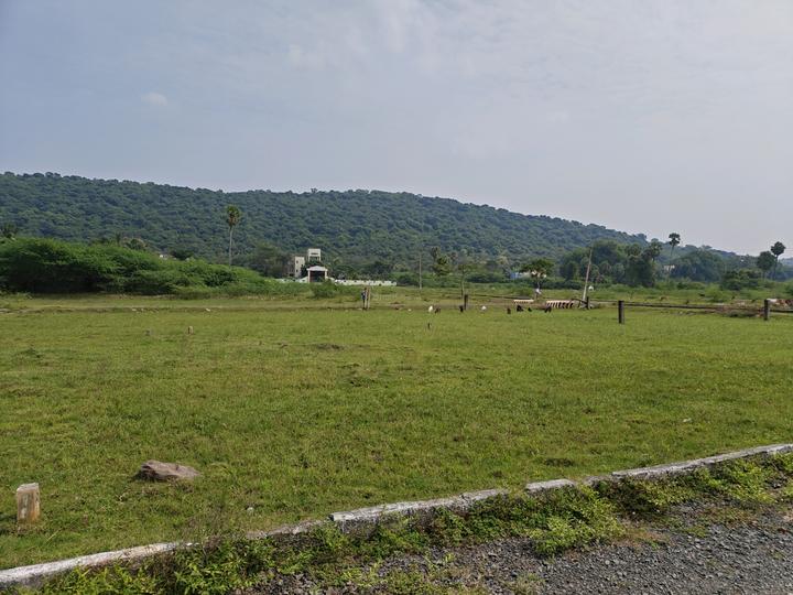 Singaperumal Koil Main Image 1