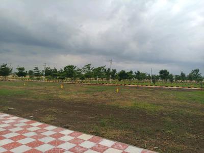 Hampton Palm Plot View 2