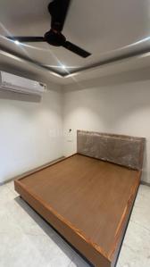 Bedroom Image of 750 Sq.ft 1 BHK Apartment / Flat for rent in Vijay Nagar Indore for Rs. 17999