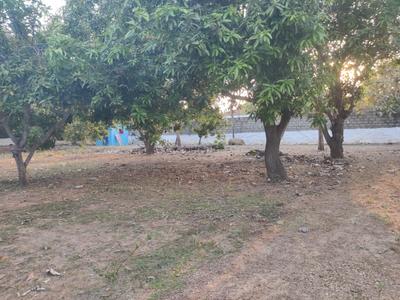 Image of 1500 Sq.ft 2 BHK Farm House for sale in Mahabalipuram, Chennai for Rs. 25000000