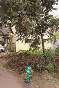 Residential Plot