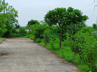 Image of 880 Sq.ft Residential Plot / Land for sale in Panchderiya, Indore for Rs. 4840000