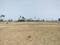 Bihta Plot View 2