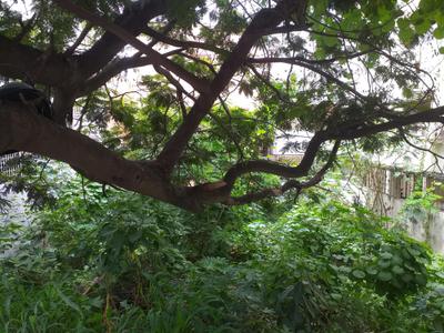 Image of 1200 Sq.ft Residential Plot / Land for sale in The HSR Club residency, HSR Layout, Bengaluru for Rs. 40000000