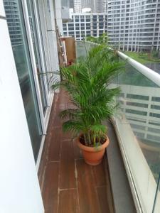 Balcony Image of 1850 Sq.ft 3 BHK Apartment / Flat for sale in Malabar Hill Mumbai for Rs. 155000000