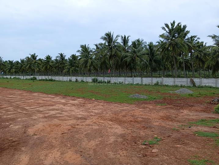 Bhogapuram Main Image 1