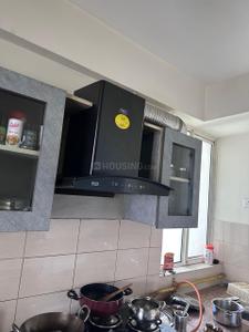 Kitchen Image of 1234 Sq.ft 2 BHK Apartment / Flat for rent in Logix Blossom Greens, Sector 143 Noida for Rs. 30000