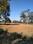 Olive Wood 2 Plot View 2