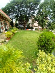 Image of 1000 Sq.ft 2 BHK Apartment / Flat for sale in Green Acres Housing Society, Kondhwa, Pune for Rs. 8000000