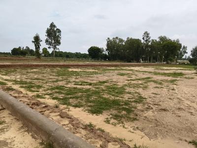 Rahmatnagar Plot View 2