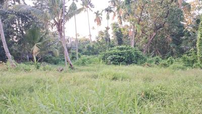 Image of 13066 Sq.ft Residential Plot / Land for sale in Maradu, Kochi for Rs. 36000000