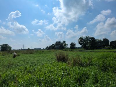 Wander Valley Plot View 1