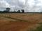 Shamshabad Plot View 1
